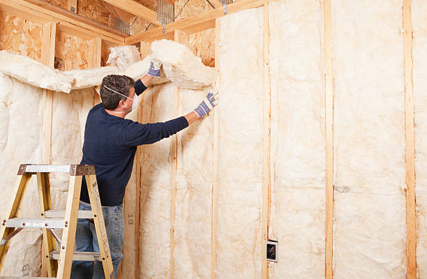 Best Spray Foam Insulation  in USA